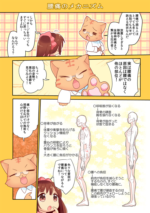 静岡のなごみ整体院　腰痛の改善について